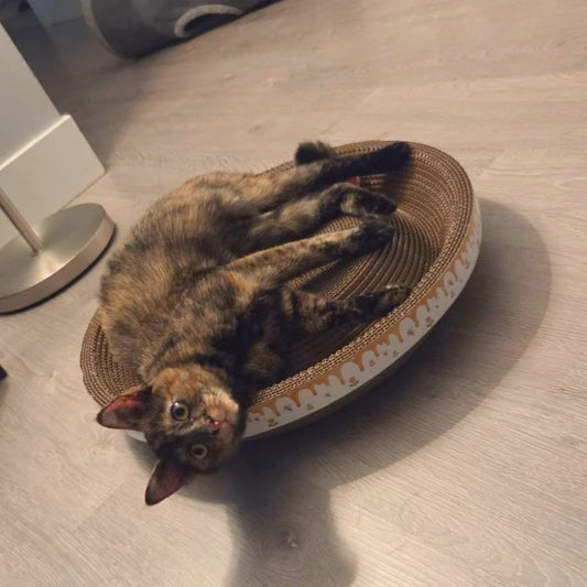 One For Pets - Cat Scratcher - Summer Hat with ball