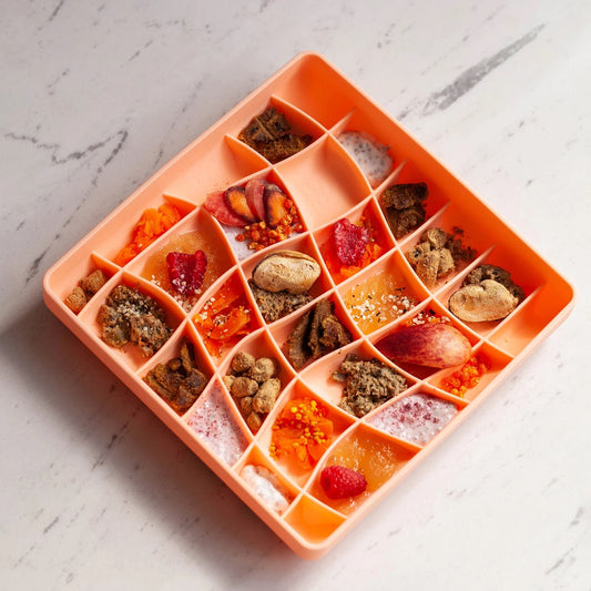 OLLIE B. GOOD wavies slow feeder bowl | salmon