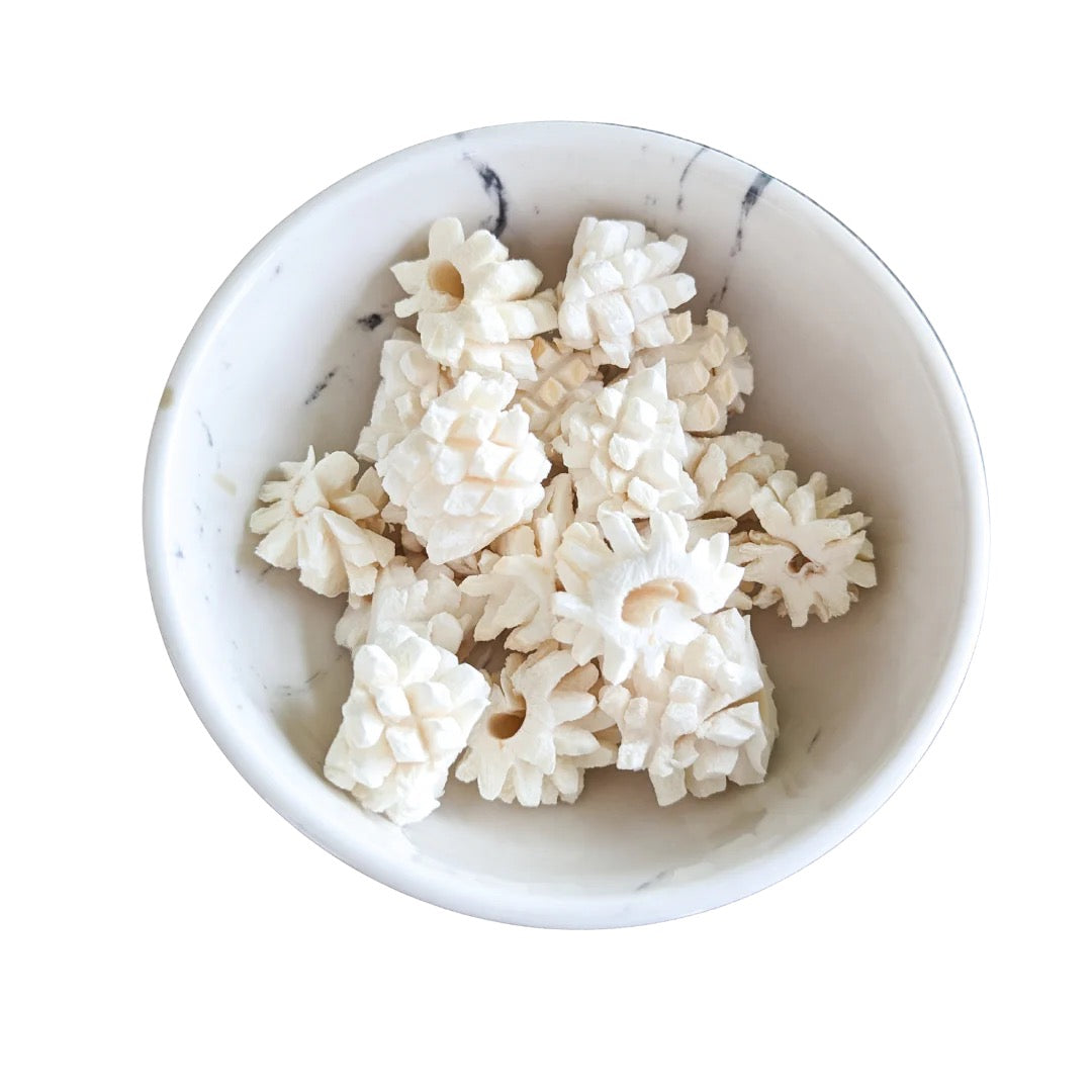 MIMI & SOSO Freeze Dried Squid 20g