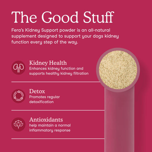 Fera Pets – Kidney Support for Dogs – 60 scoops (60g)