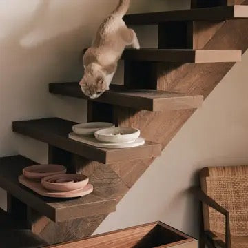 Pino Whisker Friendly Bowl