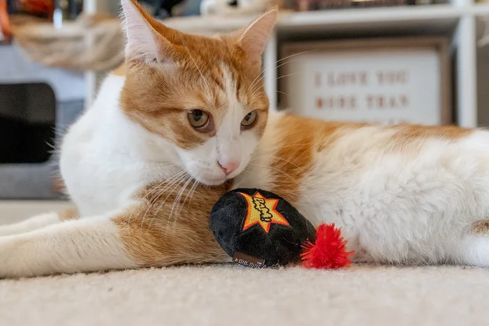 PLAY - Feline Frenzy - Halloween Kitty Boom
