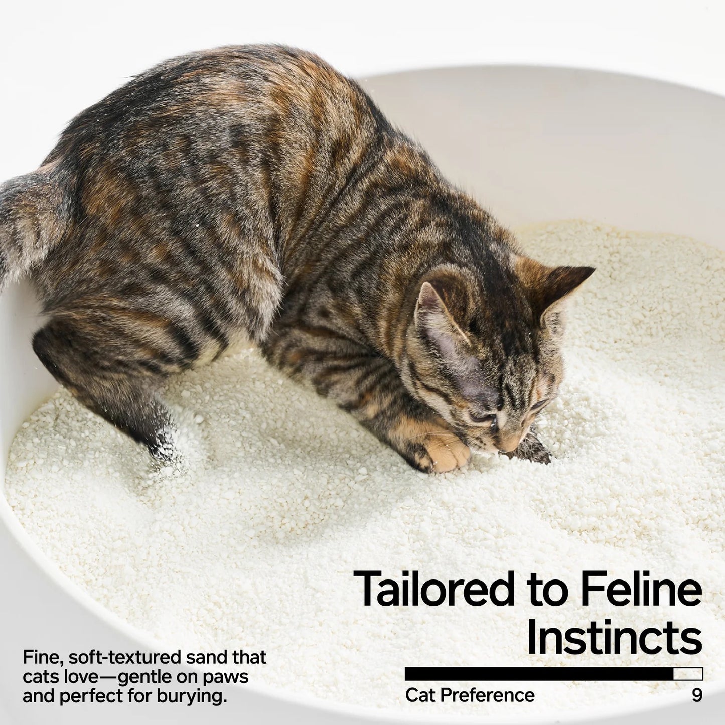 Pidan Cat Litter Cassava 2.4kg