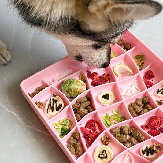 OLLIE B. GOOD wavies slow feeder bowl | strawberry