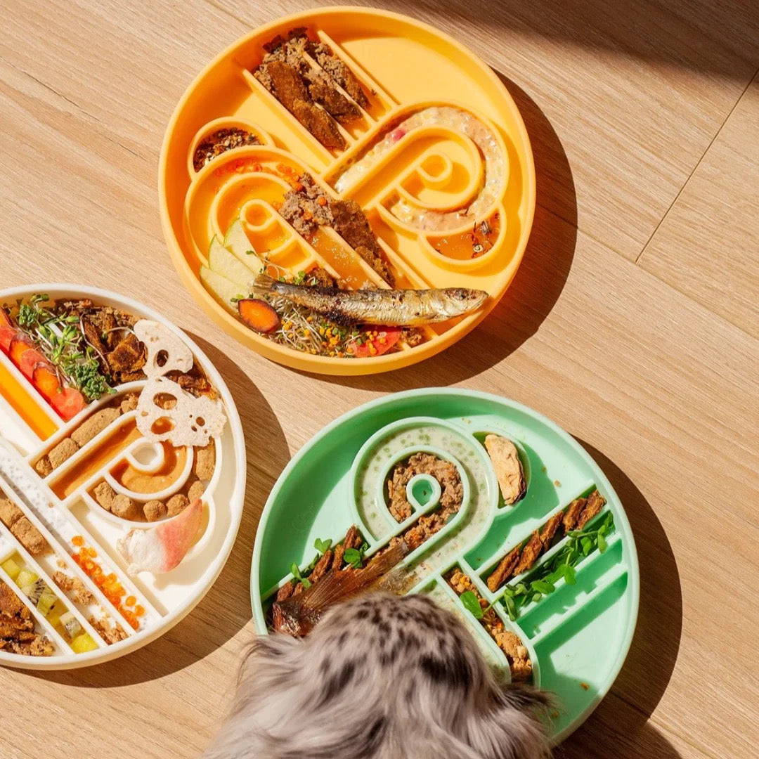 OLLIE B. GOOD zoomies slow feeder bowl | cucumber melon