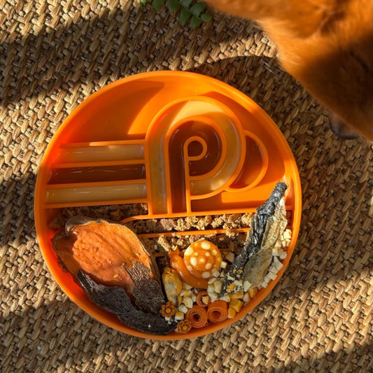 OLLIE B. GOOD zoomies slow feeder bowl | pumpkin