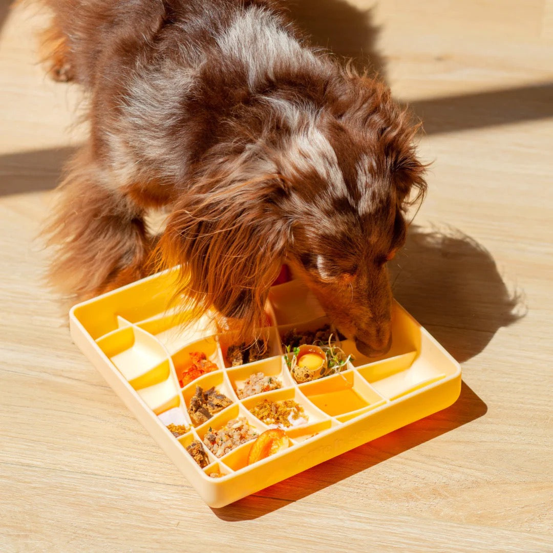OLLIE B. GOOD wavies slow feeder bowl | clementine