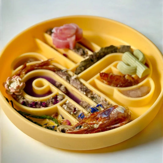 OLLIE B. GOOD zoomies slow feeder bowl | mango