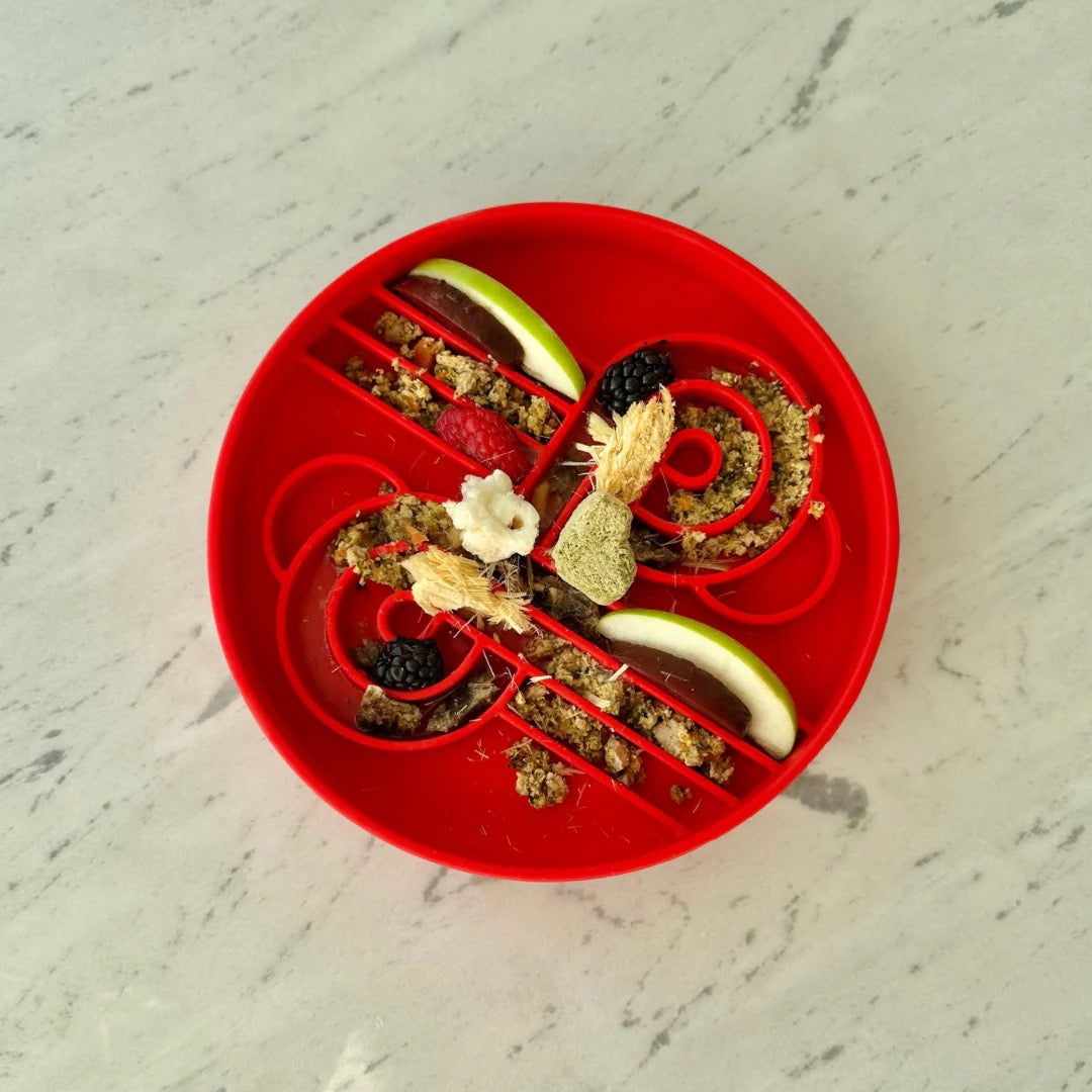 OLLIE B. GOOD zoomies slow feeder bowl | cherry