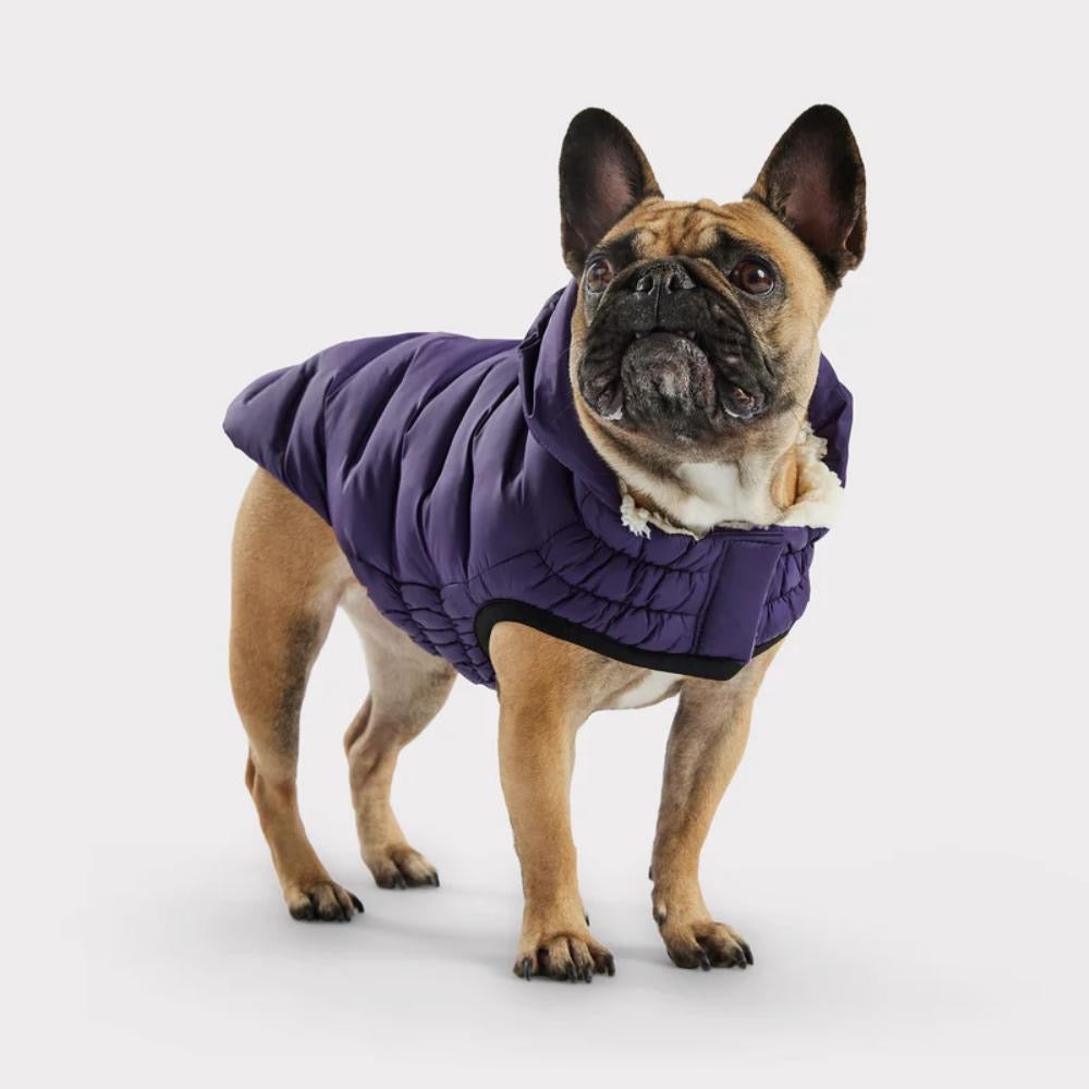GF PET Elasto-Fit Cloud Parka PURPLE