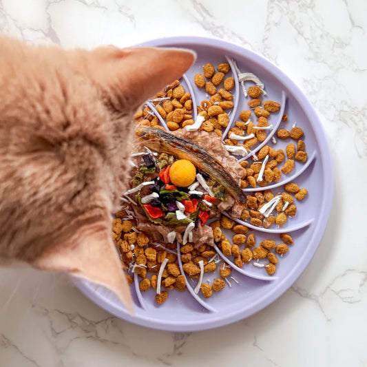 OLLIE B. GOOD wheelies lick mat & lid | fig