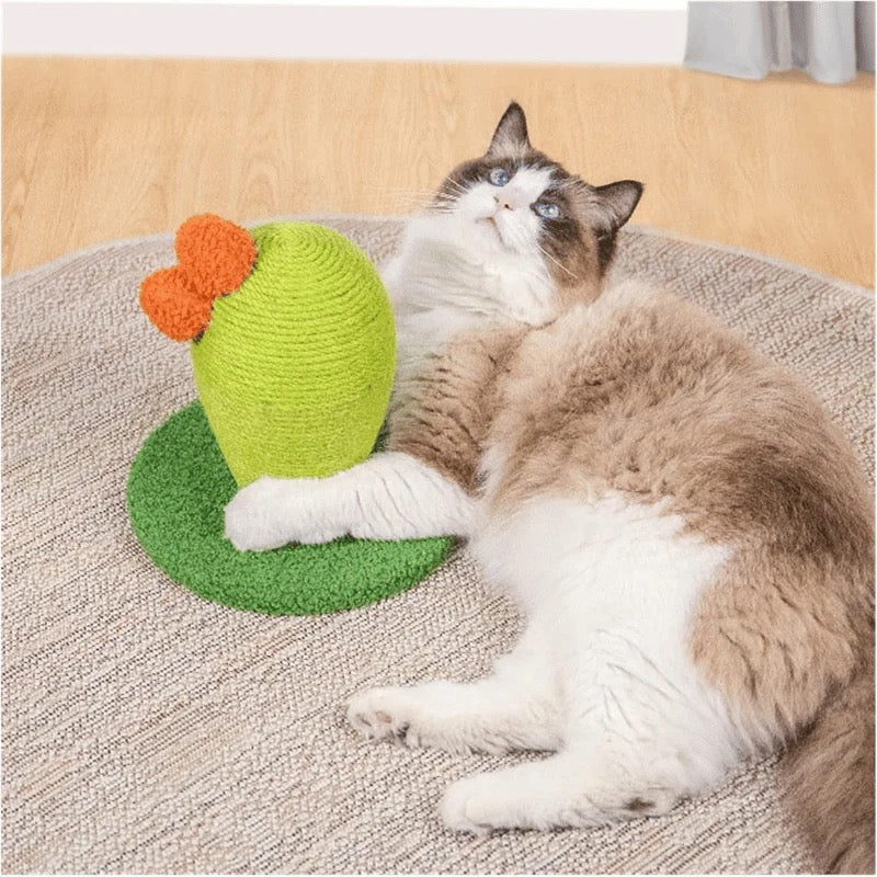 One For Pets - Cat Scratcher - Catcus - Mini