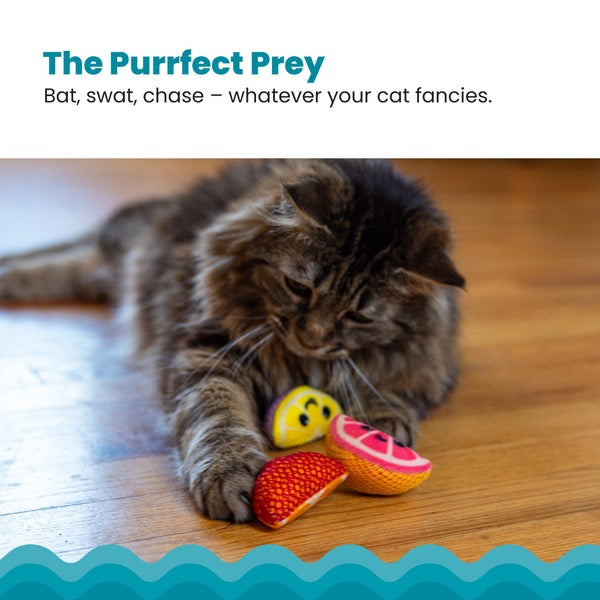 Outward Hound Dental Catnip Fruit Wedges 4PK | Cat