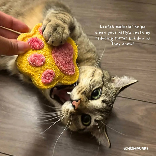 Chompurr Butter Nibbles