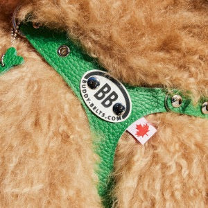 Buddy Belts Harnesses – Limited Edition with Crystal