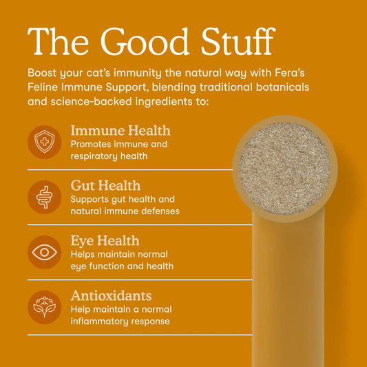 Fera Pets – L-Lysine for Cats – 60g