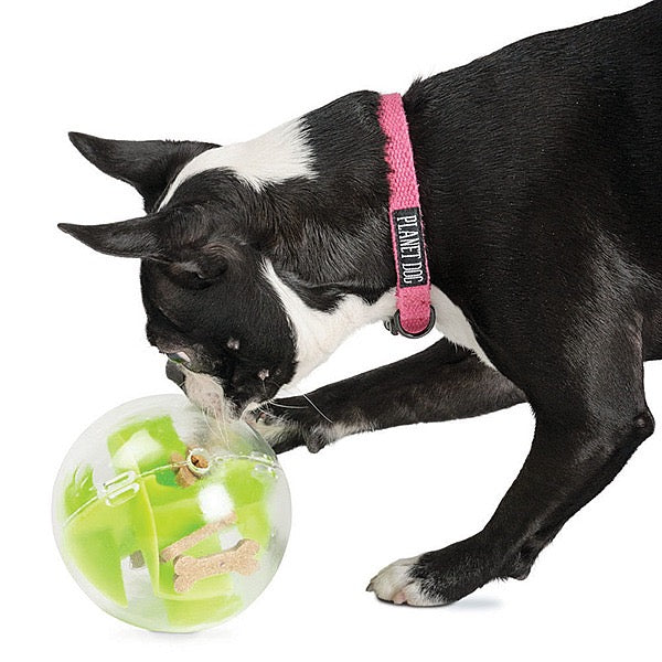 Outward Hound Orbee Tuff Mazee Green 5"