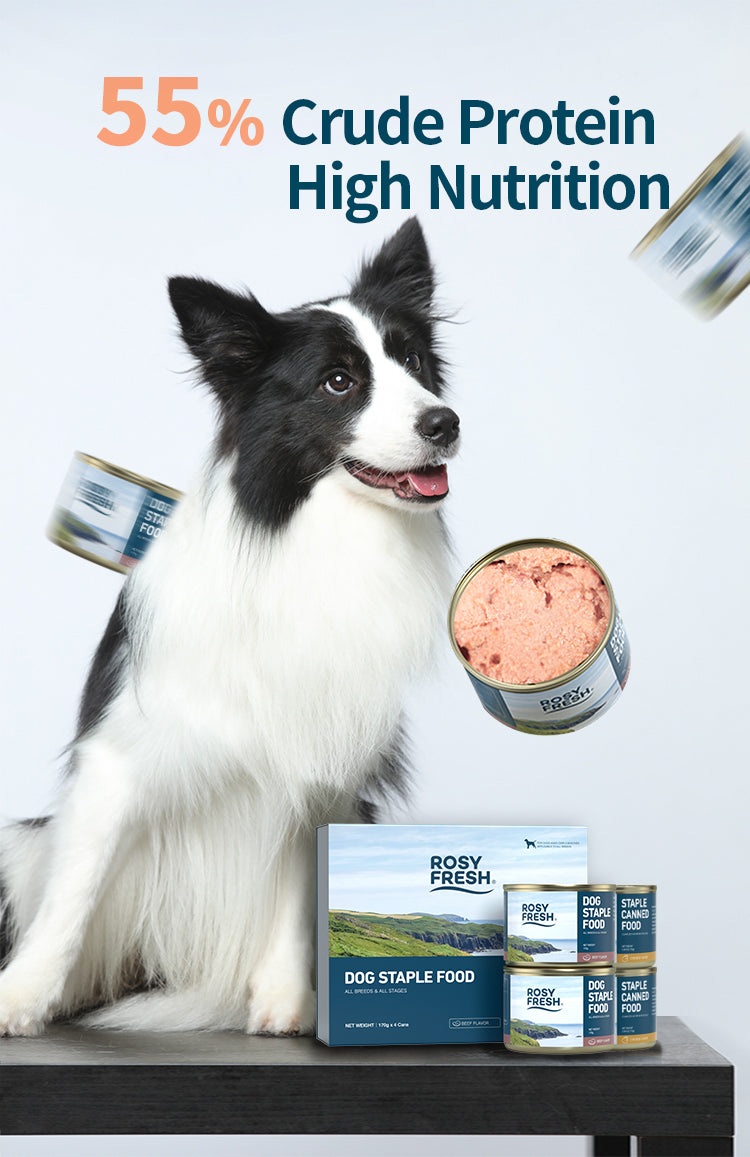 Rosy Fresh Dog Beef Wet Food 170g