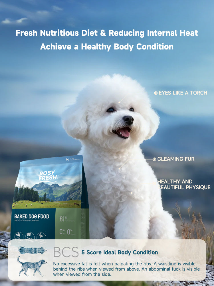 Rosy Fresh Baked Dog Dry Food Duck With Snow Pear
