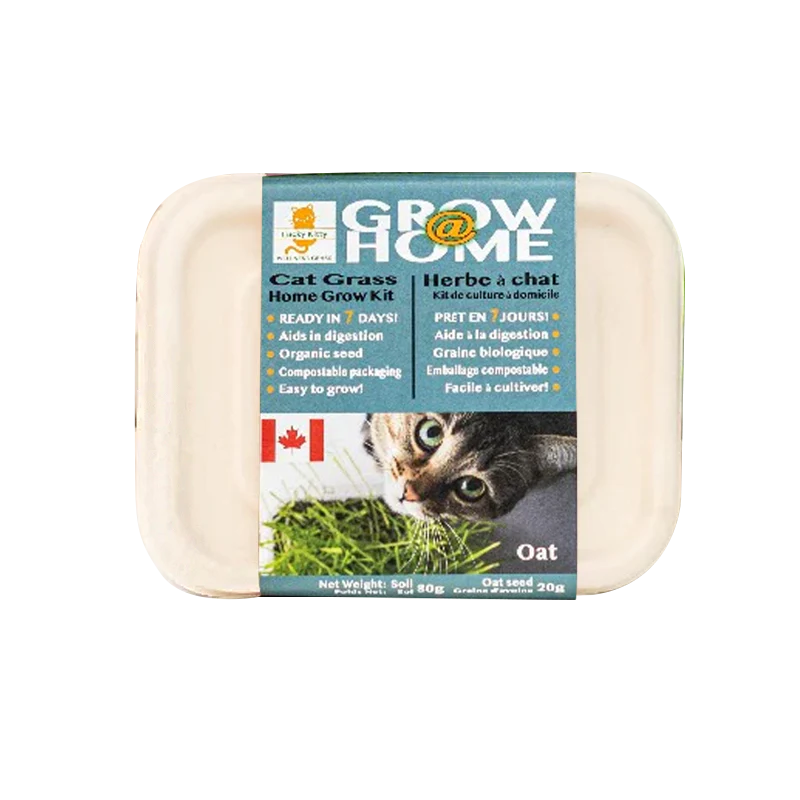 Lucky Kitty - Grow at Home Cat Grass Oat seed
