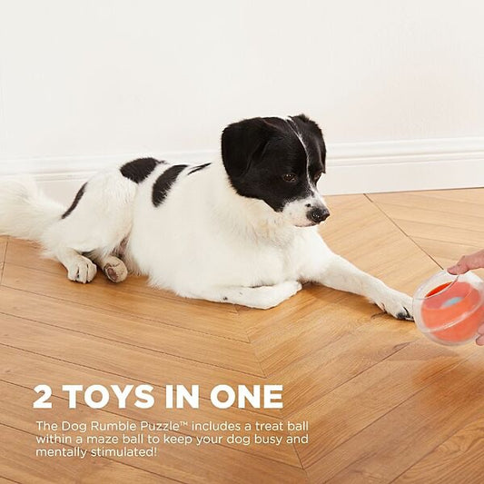 Outward Hound Topsy Treat Rumble Puzzle Orange