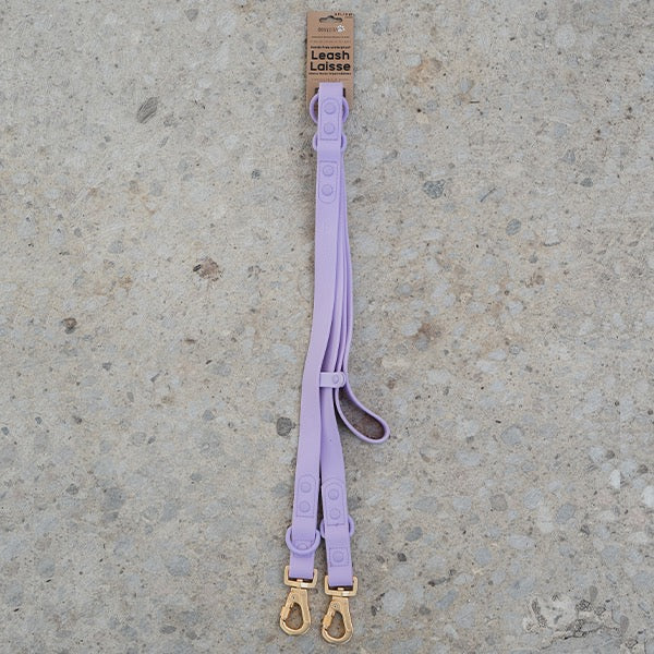 Dexypaws Dog Waterproof Hands-Free Leash