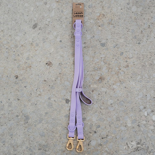 Dexypaws Dog Waterproof Hands-Free Leash