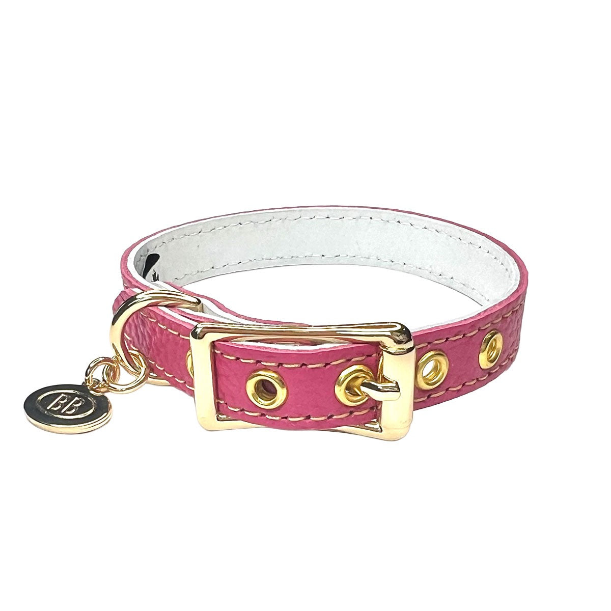 Buddy Belt Collars – Limited Edition