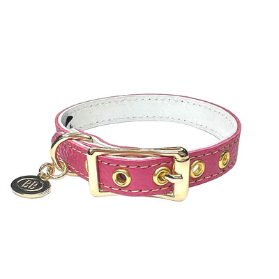 Buddy Belt Collars – Limited Edition