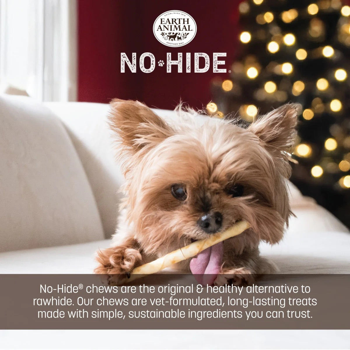 Earth Animal Dog/Cat NoHide Stix Holiday Feast 20pk