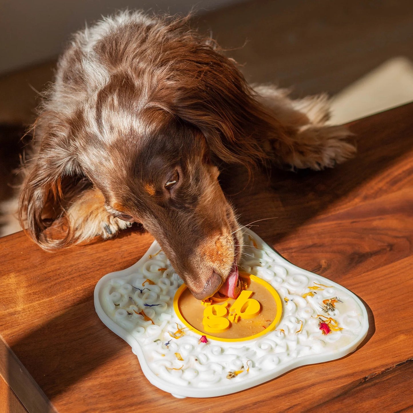 OLLIE B. GOOD sunny side up egg lick mat