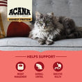 Load image into Gallery viewer, Acana Cat Highest Protein Indoor Recipe
