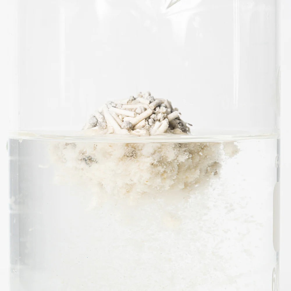 Pidan Cat Litter Tofu & Bentonite Clay 2.4kg