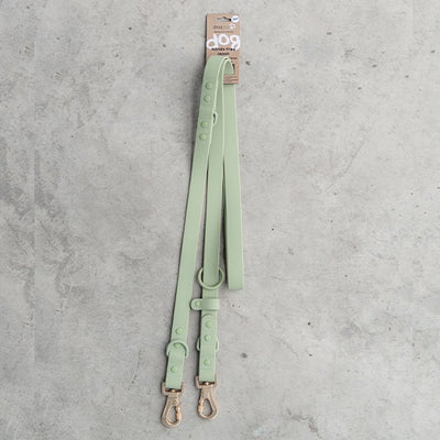 Dexypaws Dog Waterproof Hands-Free Leash