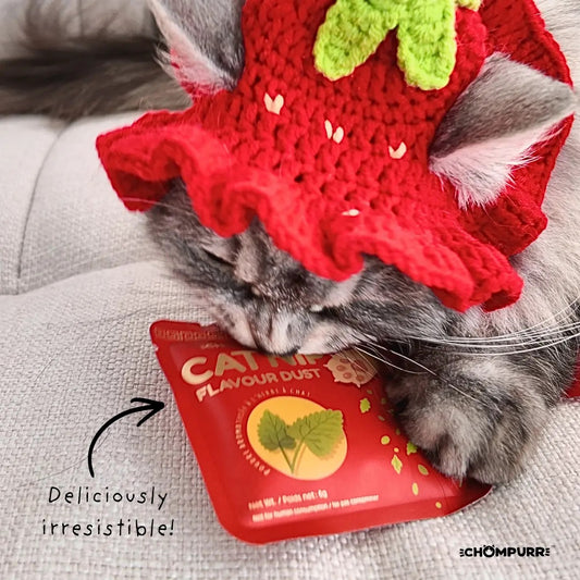 Chompurr Catnip Sprinkles