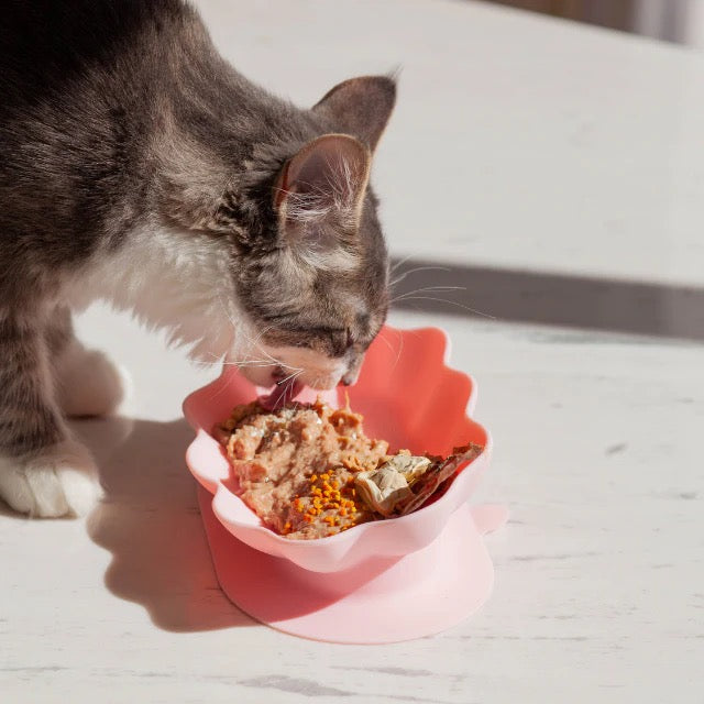 OLLIE B. GOOD whiskies cat bowl