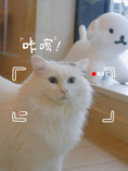 Load image into Gallery viewer, Mochi🍡（团子）
