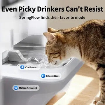 PETKIT EverSweet Ultra with Camera Pet Water Fountain