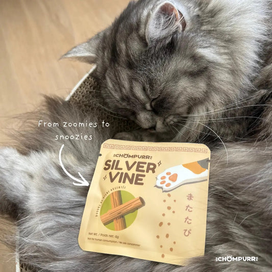 Chompurr Silvervine