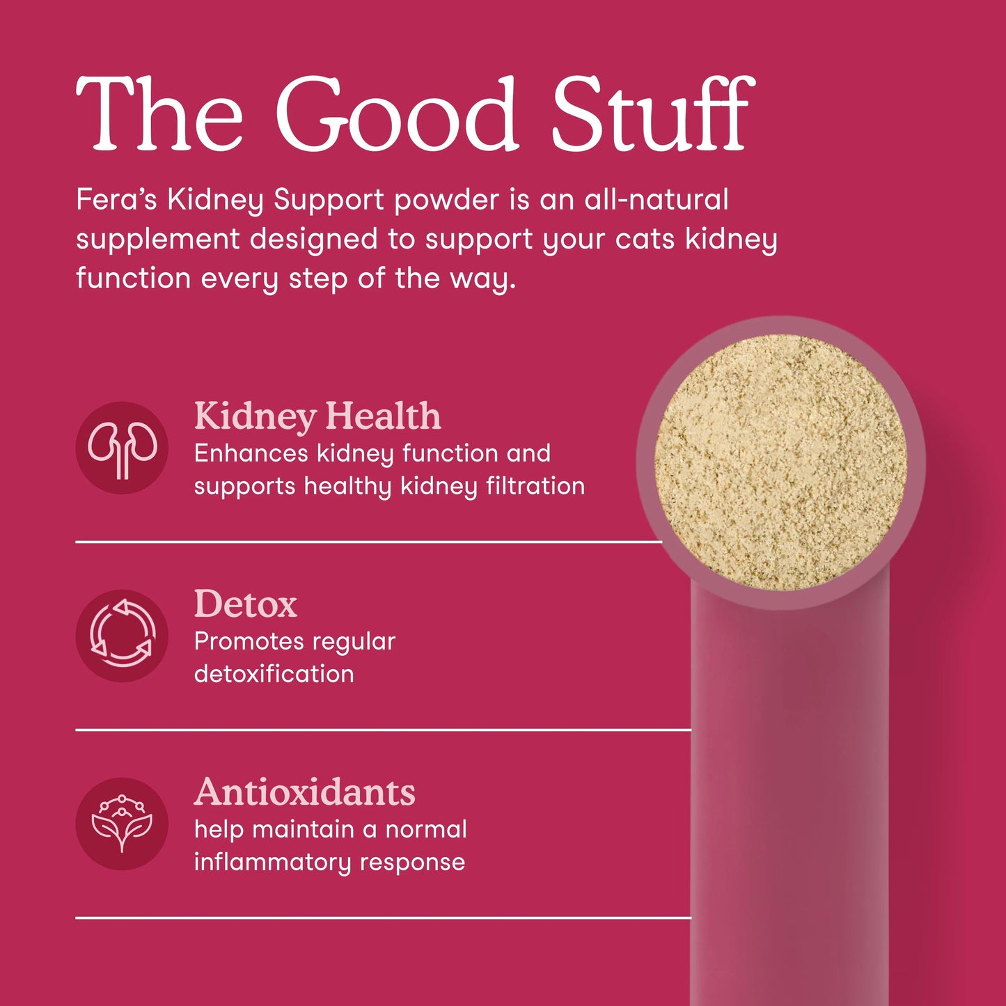Fera Pets – Kidney Support for Cats – 60 scoops (60g)