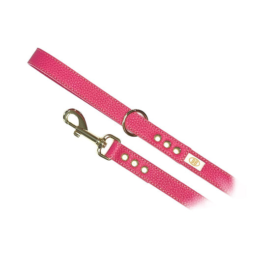 Buddy Belt All Leather Leashes – Limited Edition