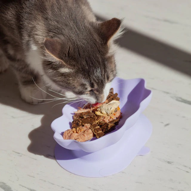 OLLIE B. GOOD whiskies cat bowl