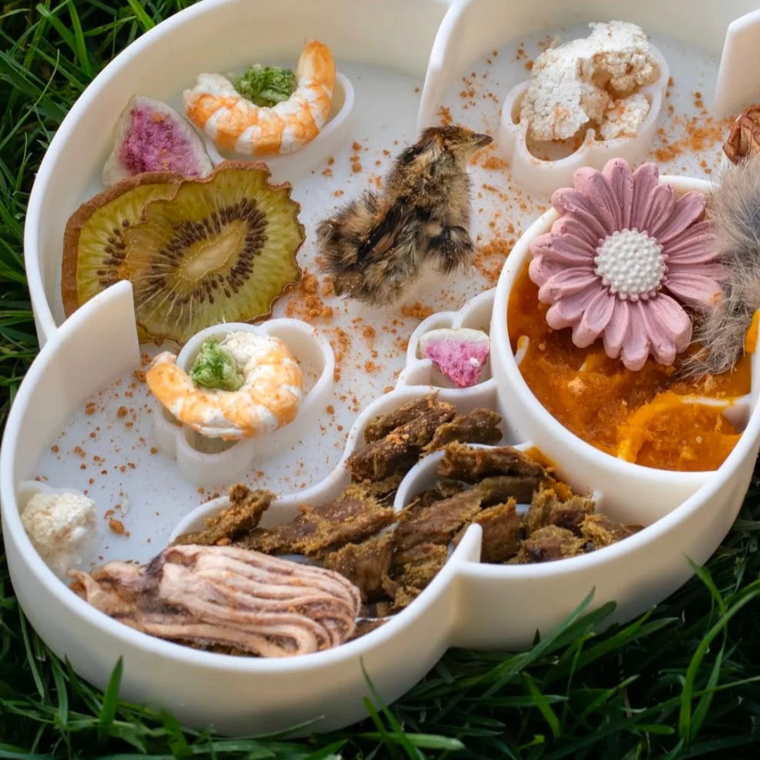 OLLIE B. GOOD cloud slow feeder bowl | coconut