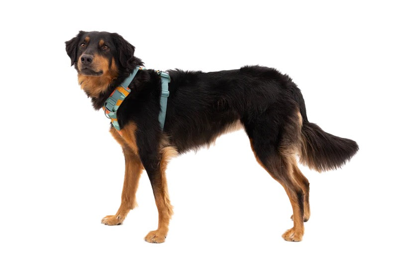 Ruffwear Front Range® Dog Harness