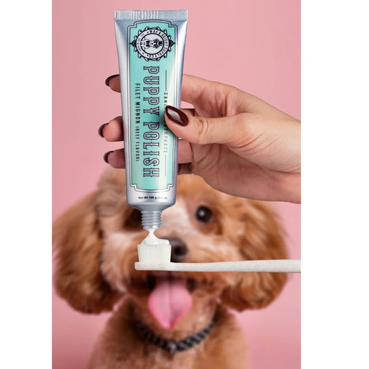 Wag & Bright Puppy Polish Natural Canine Toothpaste