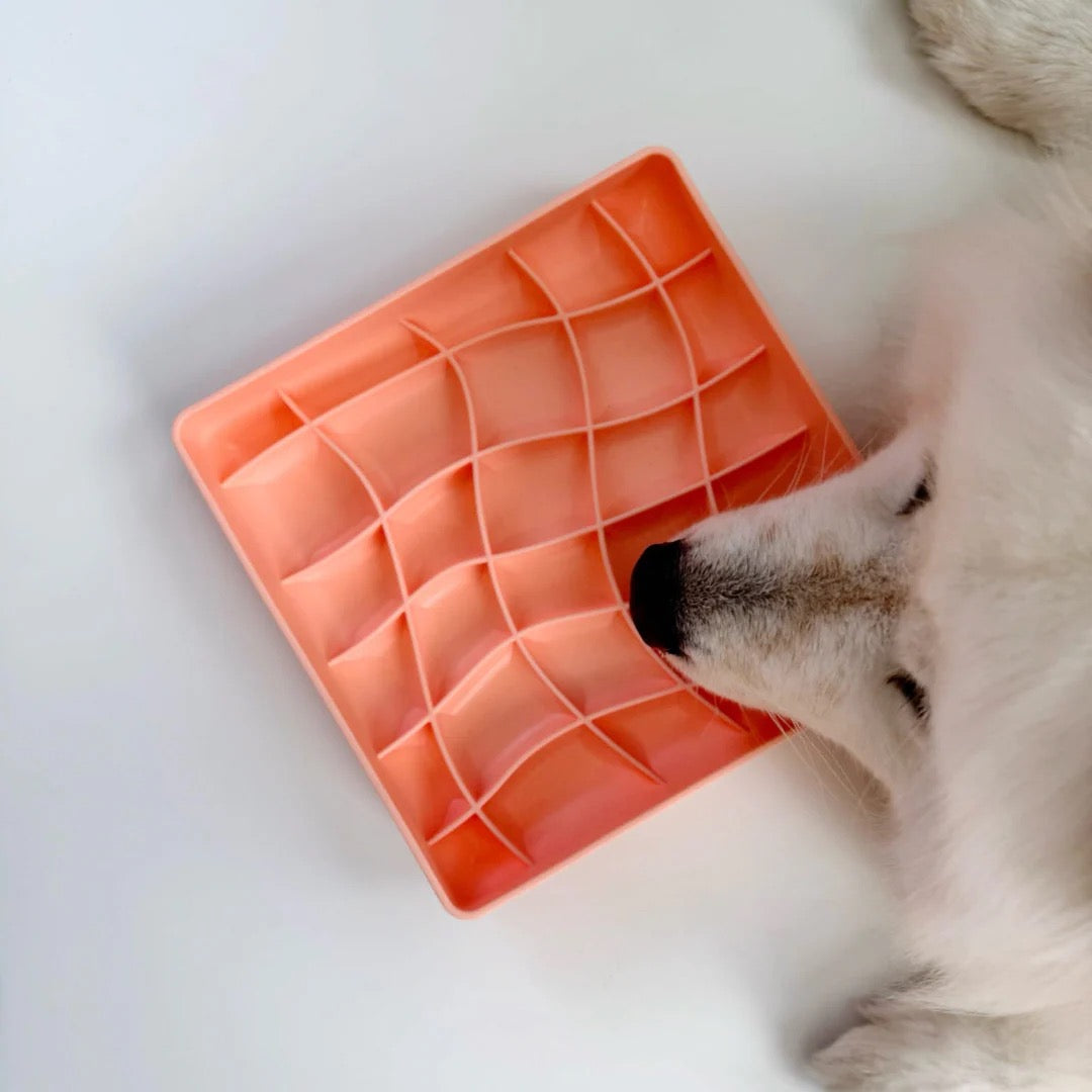 OLLIE B. GOOD wavies slow feeder bowl | salmon