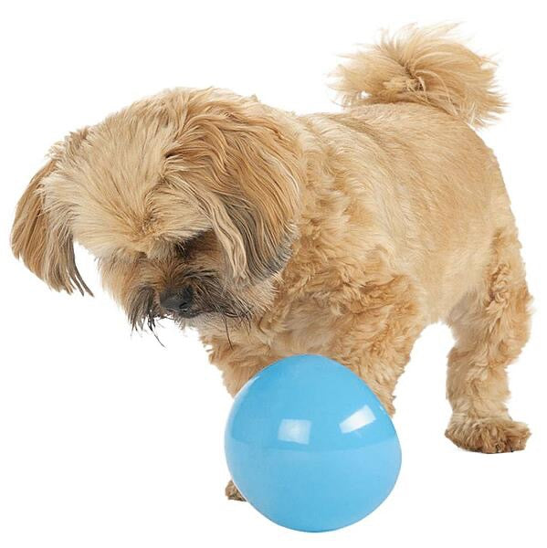 Dog Tog Orbee Tuff Snoop Blue 3.75"