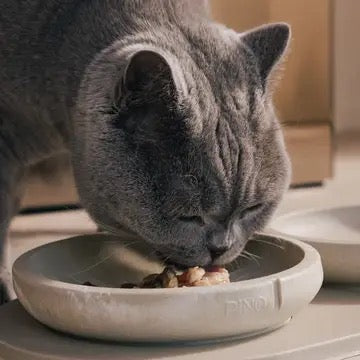 Pino Whisker Friendly Bowl