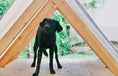 Load image into Gallery viewer, Cali（MOUNTAINSIDE）
