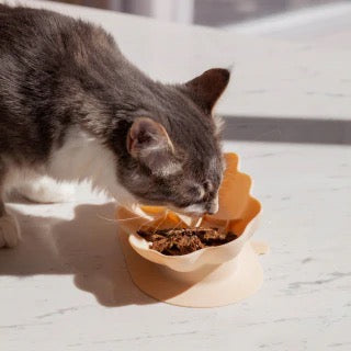 OLLIE B. GOOD whiskies cat bowl